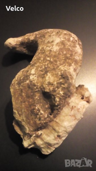 фусил, снимка 1