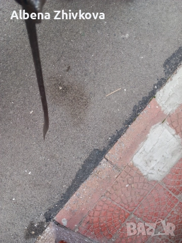 саблен щик нож - френски , снимка 9 - Антикварни и старинни предмети - 52007416