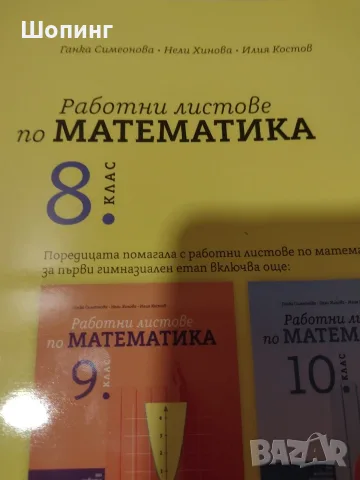 8 клас Христоматия Литература, Работни листове Математика, снимка 3 - Учебници, учебни тетрадки - 56023991