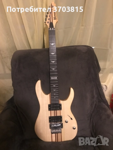 Електрическа китара BULLFIGHTER