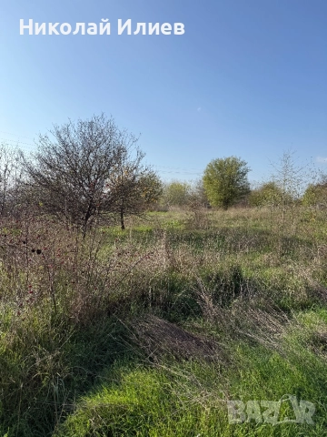 Промишлен парцел с.Тополи, снимка 5 - Парцели - 52501365