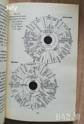 Козметичен и лечебен точков масаж, самоучител по акупресура, Георги Гураранов, снимка 4 - Специализирана литература - 50200964