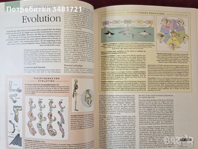 Голяма Гинес енциклопедия / The Guinness Concise Encyclopedia, снимка 4 - Енциклопедии, справочници - 53748316