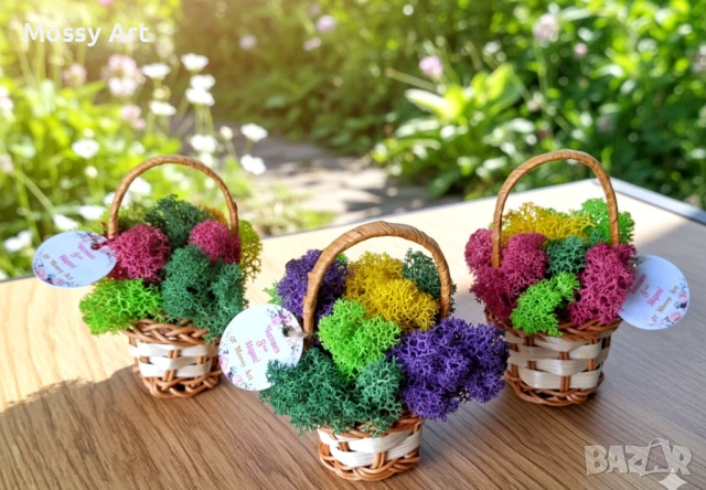 Декорации със скандинавски мъх, снимка 5 - Декорация за дома - 53198852