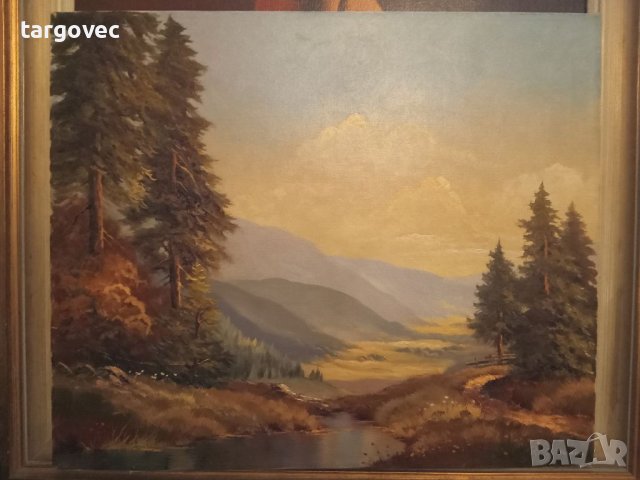 Прекрасна маслена картина пейзаж, снимка 4 - Картини - 40490954