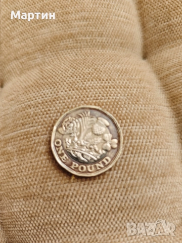 Монета от 1 паунд 2016 година 