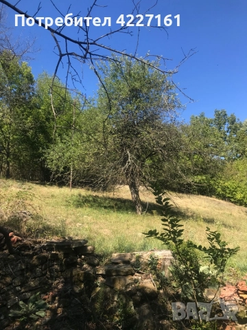 Селска къща, снимка 9 - Къщи - 51512118