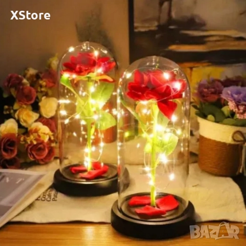 Красива осветена роза в стъкленица с красива подаръчна кутия