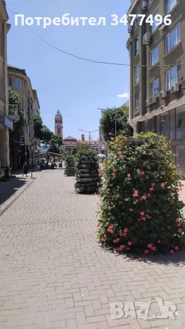 Топ локация Варна, снимка 5 - Стаи под наем - 53756739