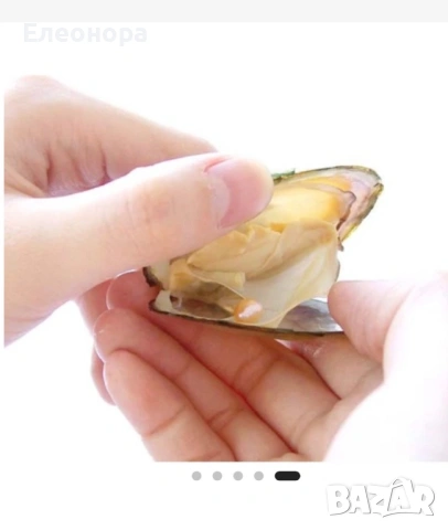 Колие с перла изненада в истинска мида , снимка 6 - Колиета, медальони, синджири - 53611454