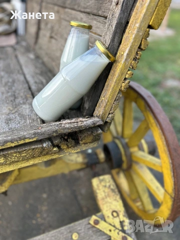 Продавам Магарешко мляко, снимка 2 - Други - 53485311