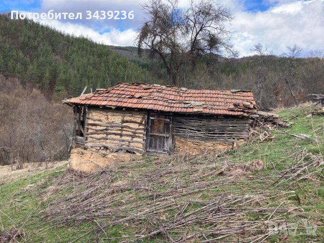 Имот, снимка 4 - Парцели - 42190532