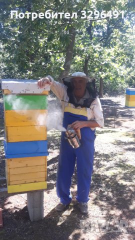 Пчелен мед 2023г , снимка 3 - За пчели - 41227290