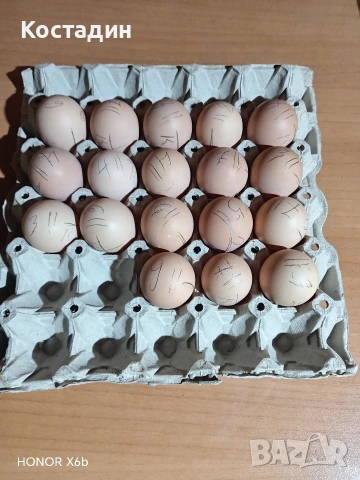 Разподни яйца Разподни яйца , снимка 2 - други­ - 53413817