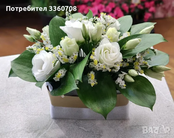 Доставка на цветя в София – florans.eu 🌸🚚, снимка 11 - Стайни растения - 49546698