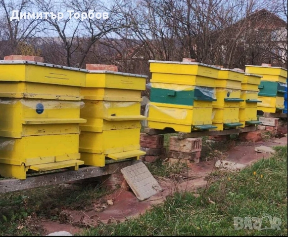 Продавам пчелни семейства с кошери