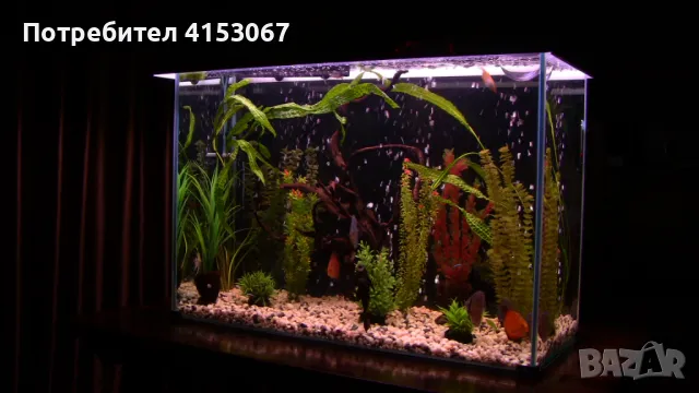 Аквариум с неръждаема конструкция, снимка 3 - Аквариуми - 49889838