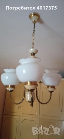 ПОЛИЛЕЙ -класика, снимка 2 - Полилеи - 50681181