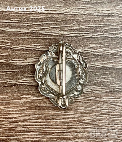 Винтидж колекционерска значка „Sulzenauhütte 2196m“ (Австрийски Алпи), снимка 2 - Колекции - 53694282