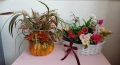 Икебани за декорация на дом, офиси и други подходящи места., снимка 9