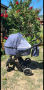Бебешка количка Milu kids, снимка 1 - Детски колички - 44311021
