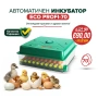 Автоматичен инкубатор ECO PROFI-70 (DC 12V / AC 220V), снимка 1