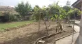 Селска къща с 1345 м² двор, гараж и стопански постройки.  Директно от собственика ., снимка 2