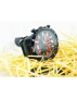 Евтин ежедневен часовник PINBO - 4 цвята (005), снимка 1 - Мъжки - 44821882