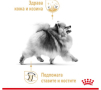 Royal Canin -POMERANIAN ADULT суха храна за померани в зряла възраст, снимка 2