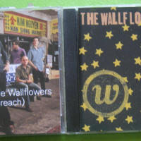 The Wallflowers Bringing Down the Horse CD Jakob Dylan син на Bob Dylan , снимка 3 - CD дискове - 31745516