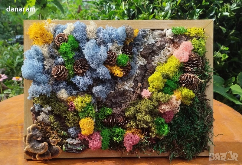 Картини със скандинавски мъх и естествени материали , снимка 1