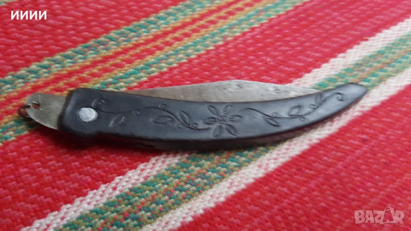 Ножка сойка, снимка 1