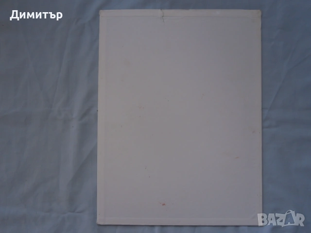 Натюрморт м.б. платно 30х40см., снимка 6 - Картини - 53582461