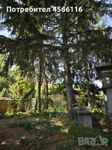 КЪЩА с.БАНИСКА обл.РУСЕ БАРТЕР ДОГОВАРЯНЕ, снимка 10 - Къщи - 55768810