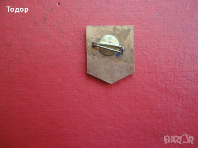 Старинен знак значка бронз емайл 3 , снимка 6 - Колекции - 42197938