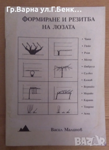 Формиране и резитба на лозата  Васил Малинов 7лв