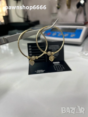 Златни обеци 14К