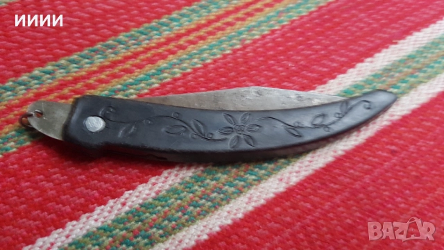 Ножка сойка