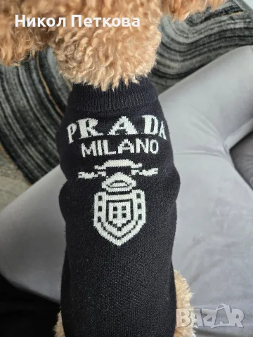 Кучешки пуловер Prada, снимка 2 - За кучета - 56131641
