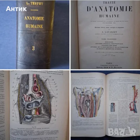 Антикварна Френска Книга по Медицина Анатомия на Човека 3 Том / 1930 год.
