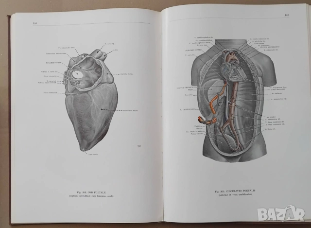 "Анатомичен атлас на човешкото тяло" в три тома, снимка 8 - Енциклопедии, справочници - 53657241
