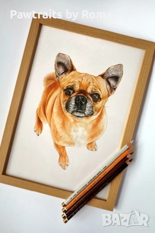 Ръчно рисуван портрет на домашен любимец, снимка 3 - Картини - 38707277