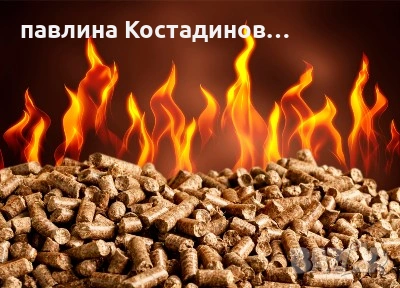 Слънчогледови пелети, снимка 4 - Пелети - 53122079