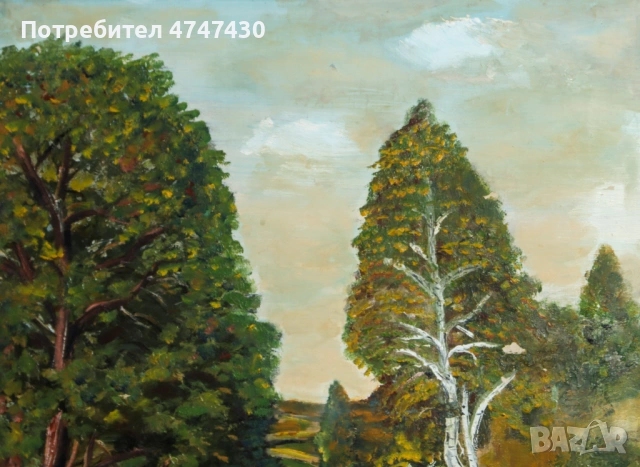 Воин Захаренов маслени бои пейзаж, снимка 7 - Картини - 53629847