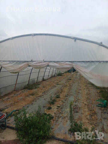 Продавам оранжерия , снимка 7 - Оранжерии - 53282195