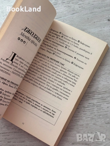 Приложения на етеричните масла – Десислава ел Хаким, снимка 9 - Други - 53200513