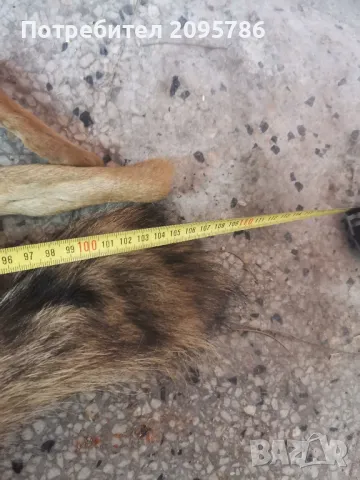 кожа от лисица, снимка 6 - Якета - 49022675