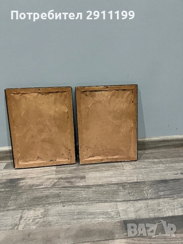 Стъклена картина с птици, комплект от 2бр., снимка 10 - Картини - 53395933