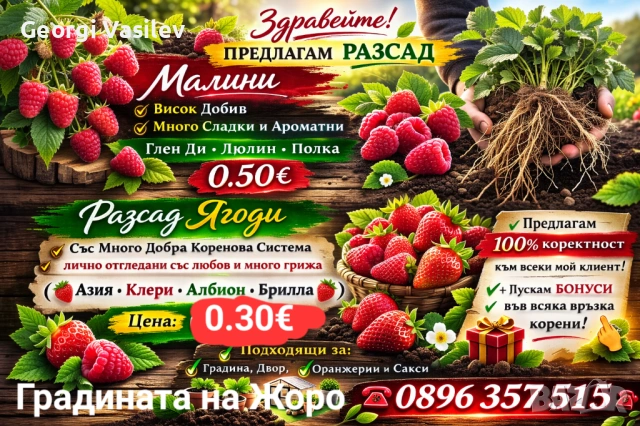  Расад малини и ягоди? *