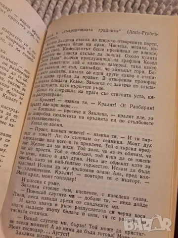 Графиня Козел - Юзеф Игнаци Крашевски, снимка 4 - Художествена литература - 48733947